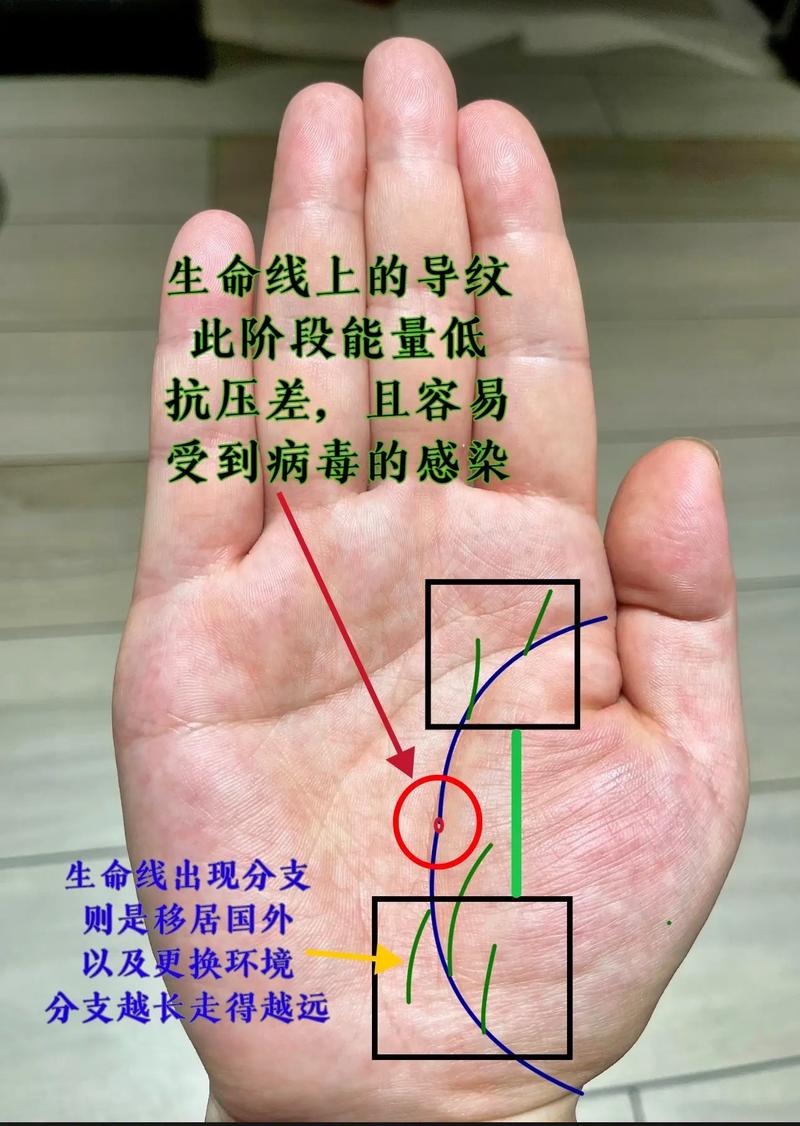 生命线攻略难点在哪?高玩教你轻松过关!