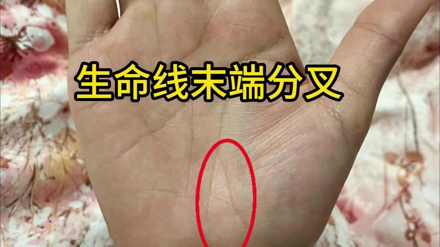 生命线攻略难点在哪?高玩教你轻松过关!