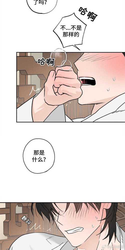 爆漫讲的是什么？新手入门全攻略看这篇！