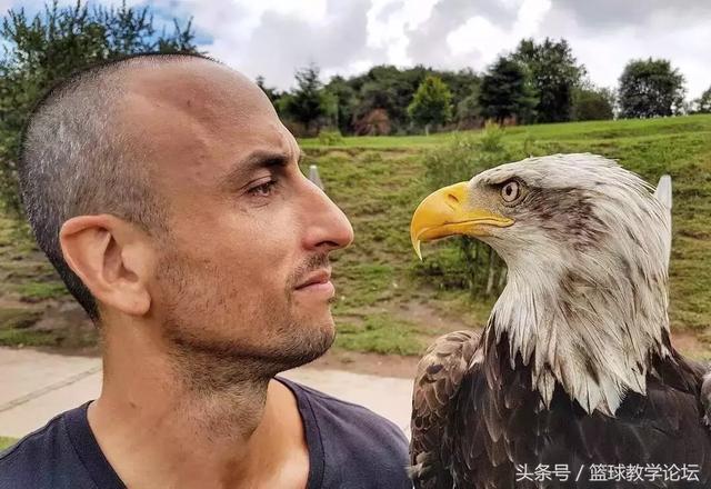 梦之队神秘球员能力分析,他会是关键先生吗?