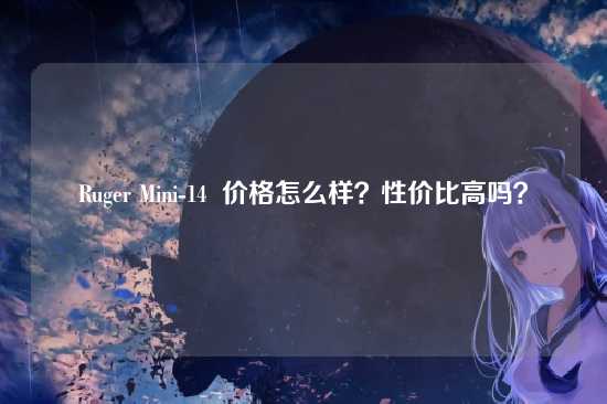 Ruger Mini-14 价格怎么样?性价比高吗?
