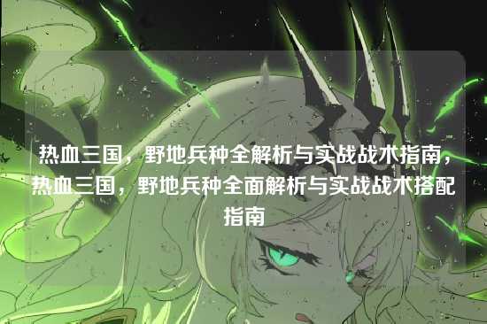 热血三国,野地兵种全解析与实战战术指南,热血三国,野地兵种全面解析与实战战术搭配指南