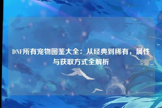 DNF所有宠物图鉴大全:从经典到稀有,属性与获取方式全解析
