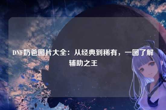 DNF奶爸图片大全:从经典到稀有,一图了解辅助之王