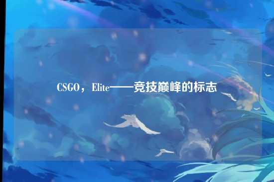 CSGO,Elite——竞技巅峰的标志