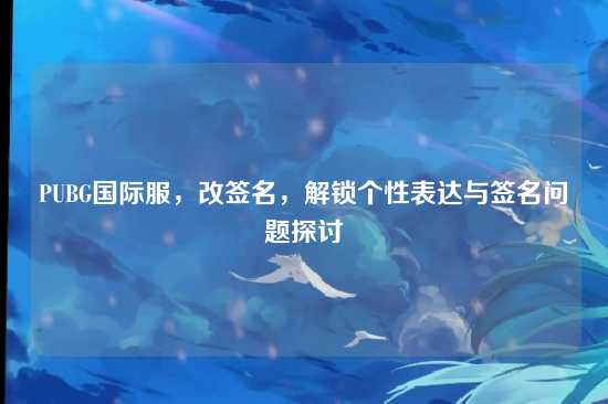 PUBG国际服,改签名,解锁个性表达与签名问题探讨
