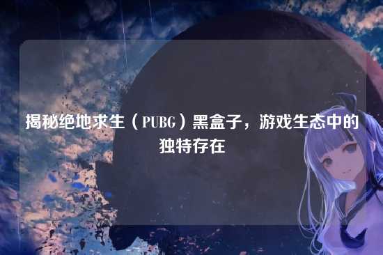 揭秘绝地求生(PUBG)黑盒子,游戏生态中的独特存在