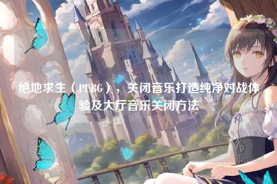 绝地求生(PUBG),关闭音乐打造纯净对战体验及大厅音乐关闭方法
