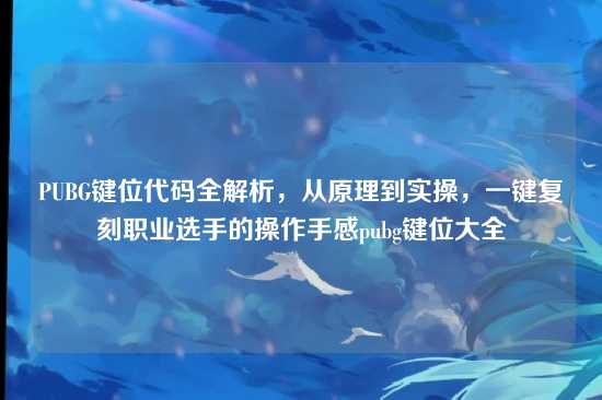 PUBG键位代码全解析，从原理到实操，一键复刻职业选手的操作手感pubg键位大全