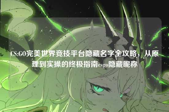 CS:GO完美世界竞技平台隐藏名字全攻略，从原理到实操的终极指南csgo隐藏昵称