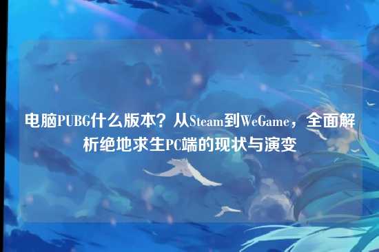 电脑PUBG什么版本?从Steam到WeGame,全面解析绝地求生PC端的现状与演变
