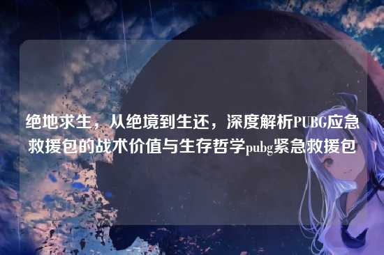 绝地求生,从绝境到生还,深度解析PUBG应急救援包的战术价值与生存哲学pubg紧急救援包