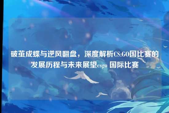 破茧成蝶与逆风翻盘,深度解析CS:GO国比赛的发展历程与未来展望csgo 国际比赛
