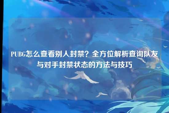 PUBG怎么查看别人封禁?全方位解析查询队友与对手封禁状态的方法与技巧
