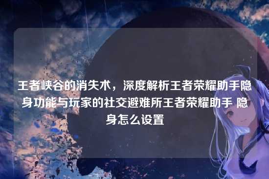 王者峡谷的消失术，深度解析王者荣耀助手隐身功能与玩家的社交避难所王者荣耀助手 隐身怎么设置