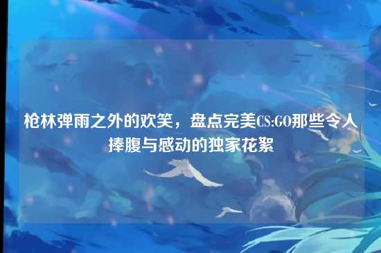 枪林弹雨之外的欢笑,盘点完美CS:GO那些令人捧腹与感动的独家花絮