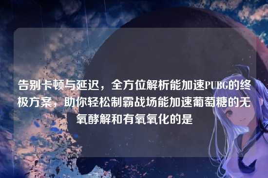 告别卡顿与延迟，全方位解析能加速PUBG的终极方案，助你轻松制霸战场能加速葡萄糖的无氧酵解和有氧氧化的是