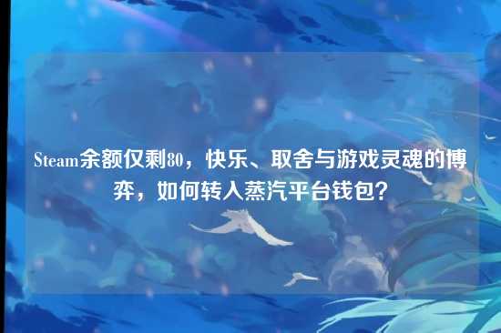 Steam余额仅剩80,快乐、取舍与游戏灵魂的博弈,如何转入蒸汽平台钱包?