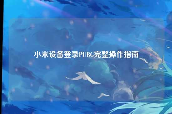 小米设备登录PUBG完整操作指南